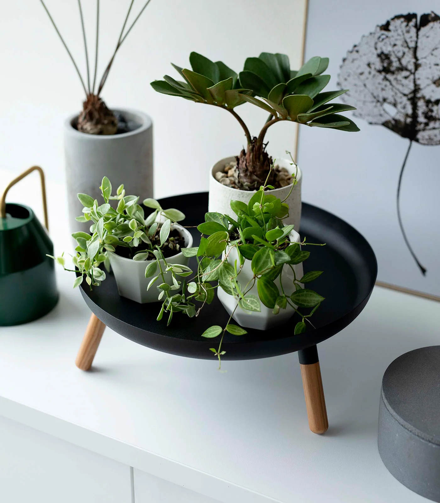 Countertop Pedestal Tray (5" H) - Steel + Wood - Image 16
