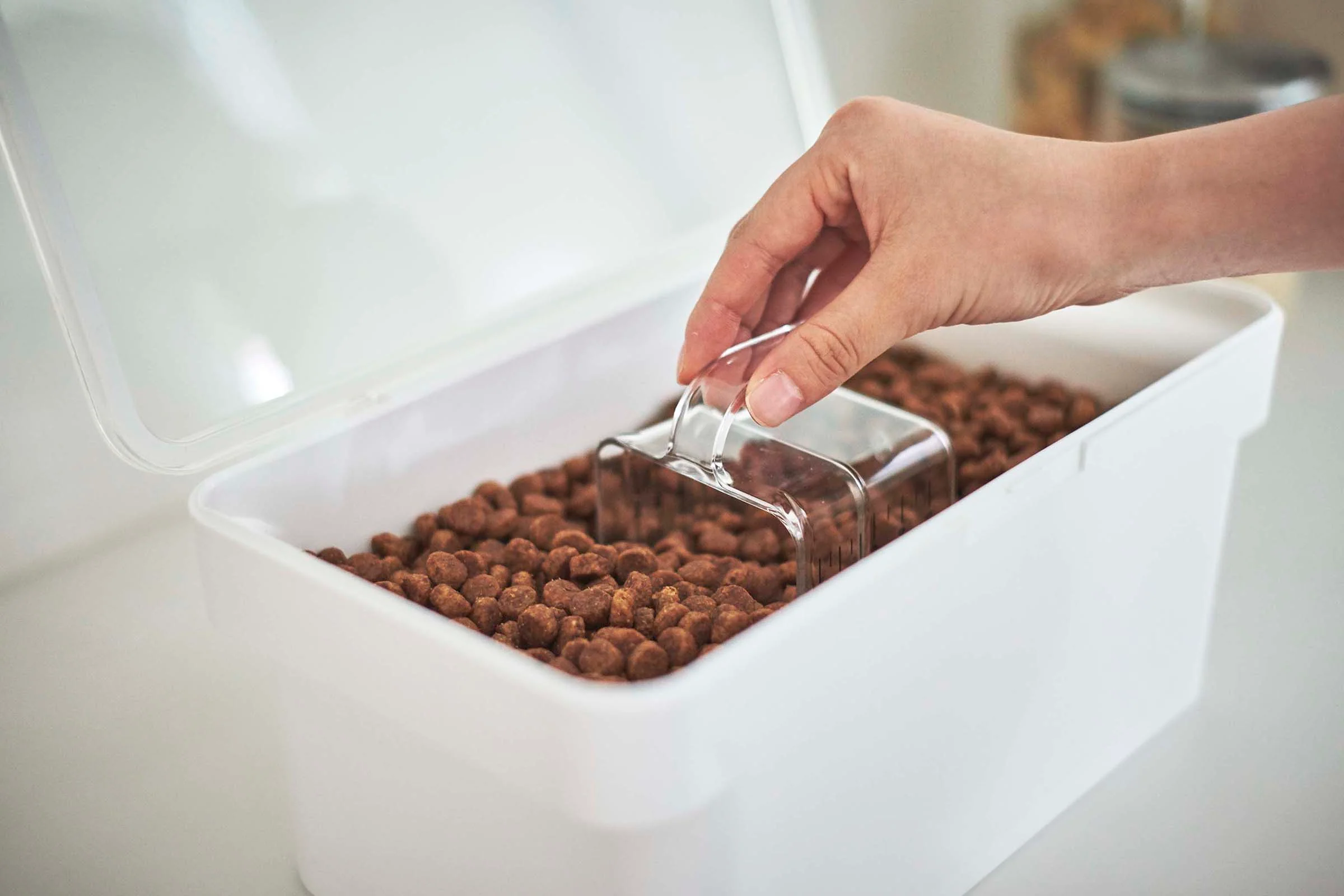 Airtight Pet Food Container - Three Sizes - Image 4
