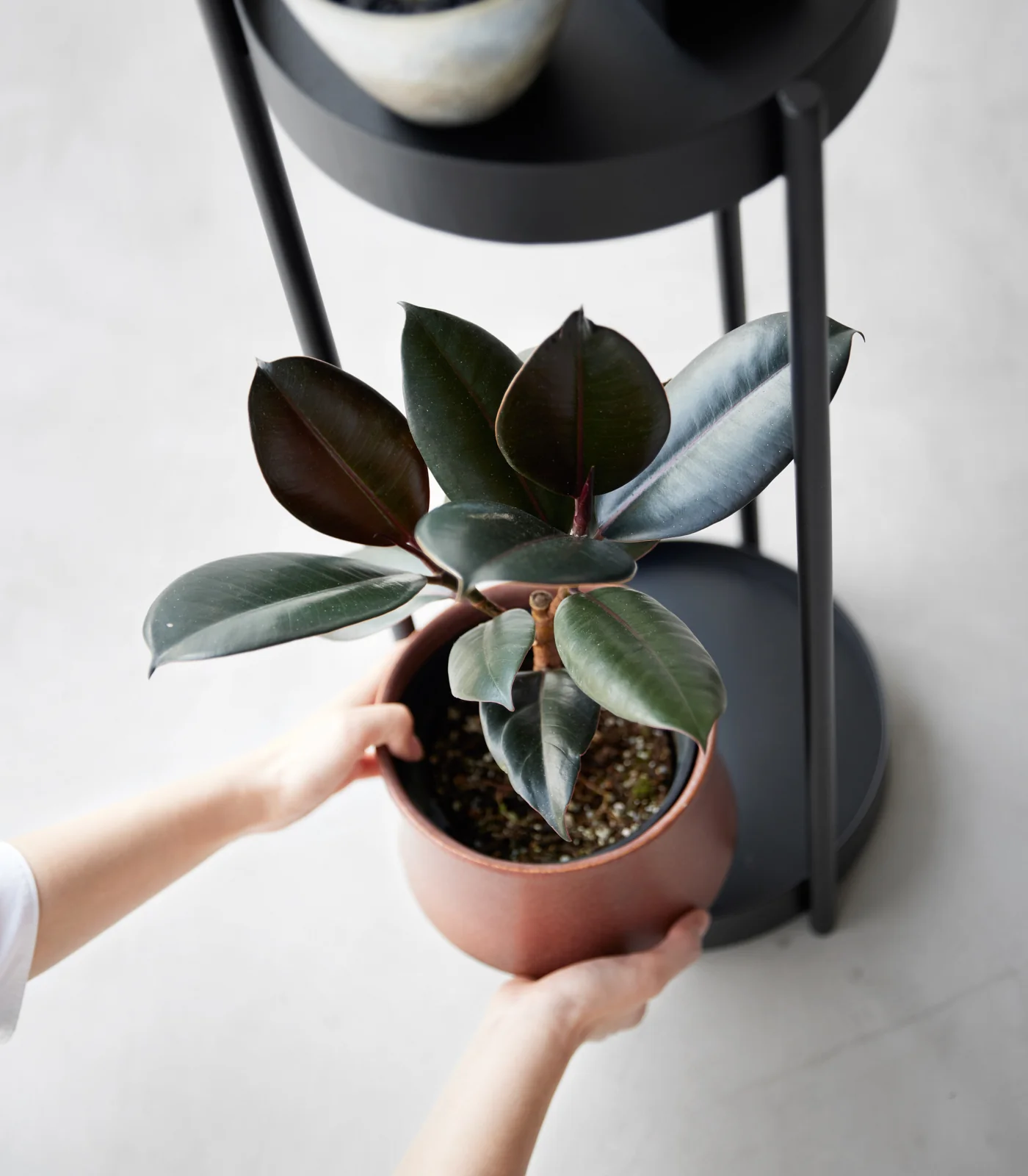 Two-Tier Rolling Plant Stand (28" H) - Steel - Image 13