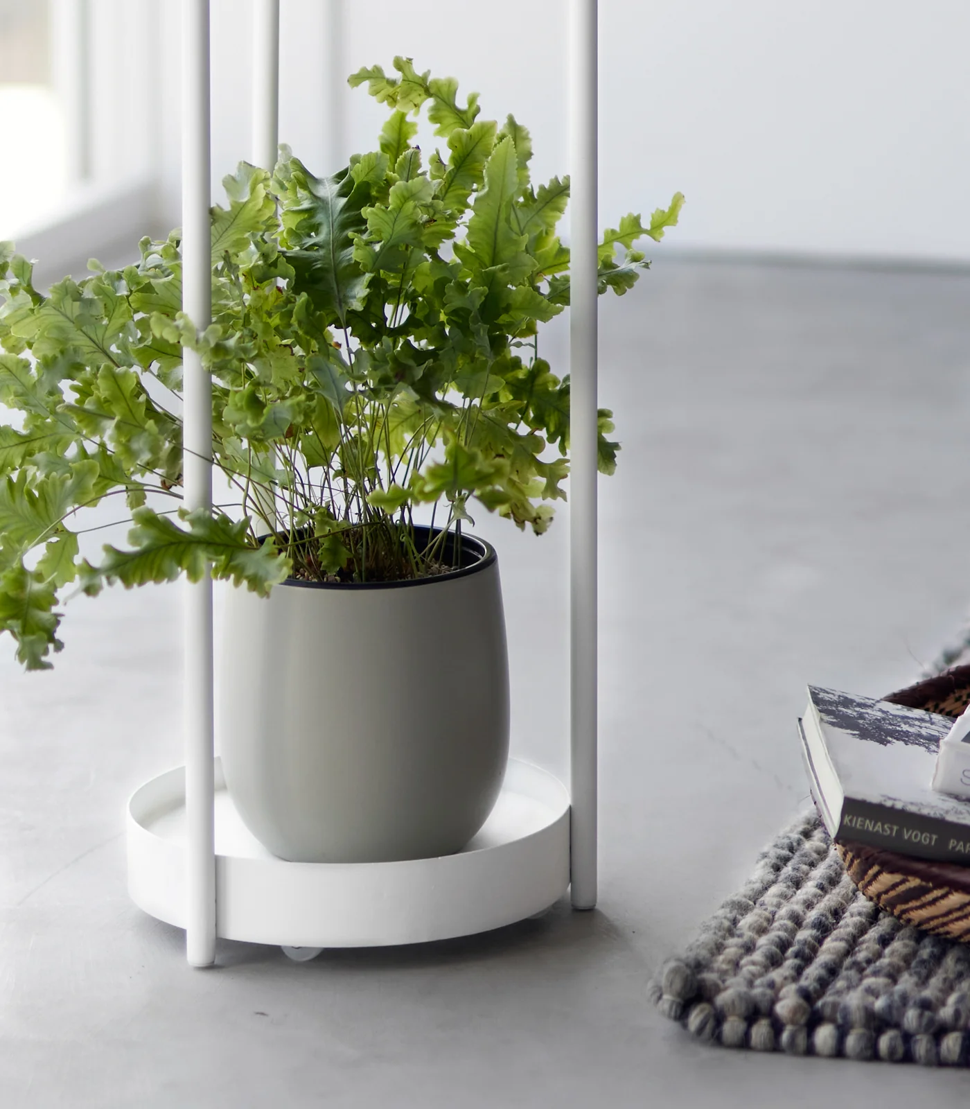 Two-Tier Rolling Plant Stand (28" H) - Steel - Image 7